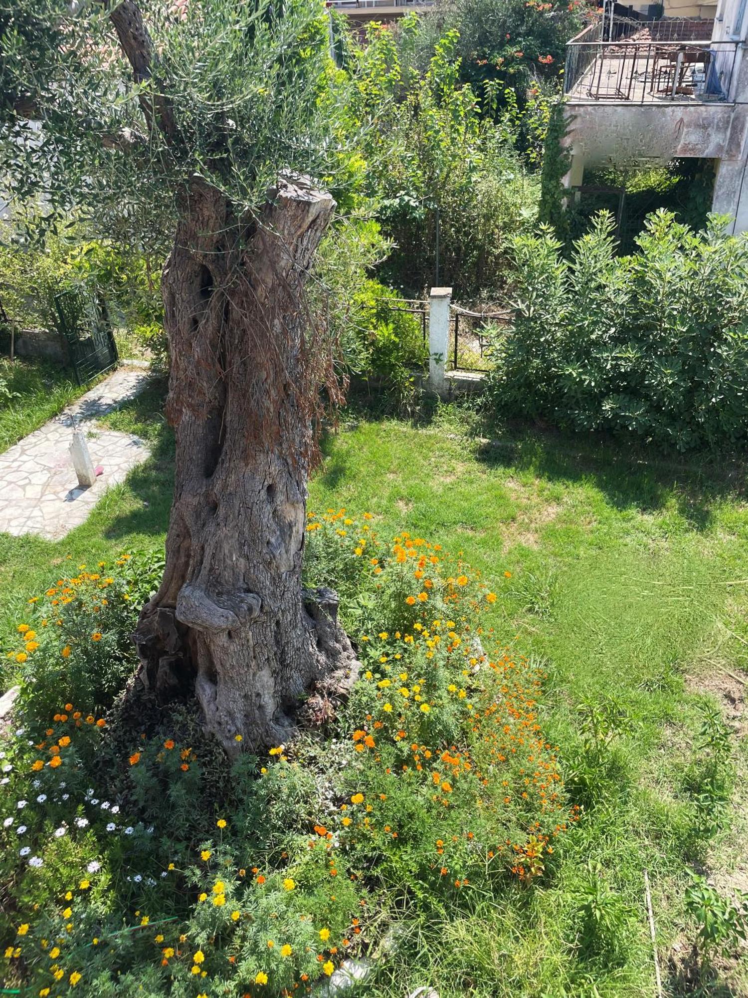 Aurelia Seaside Apartment Kávos Zewnętrze zdjęcie
